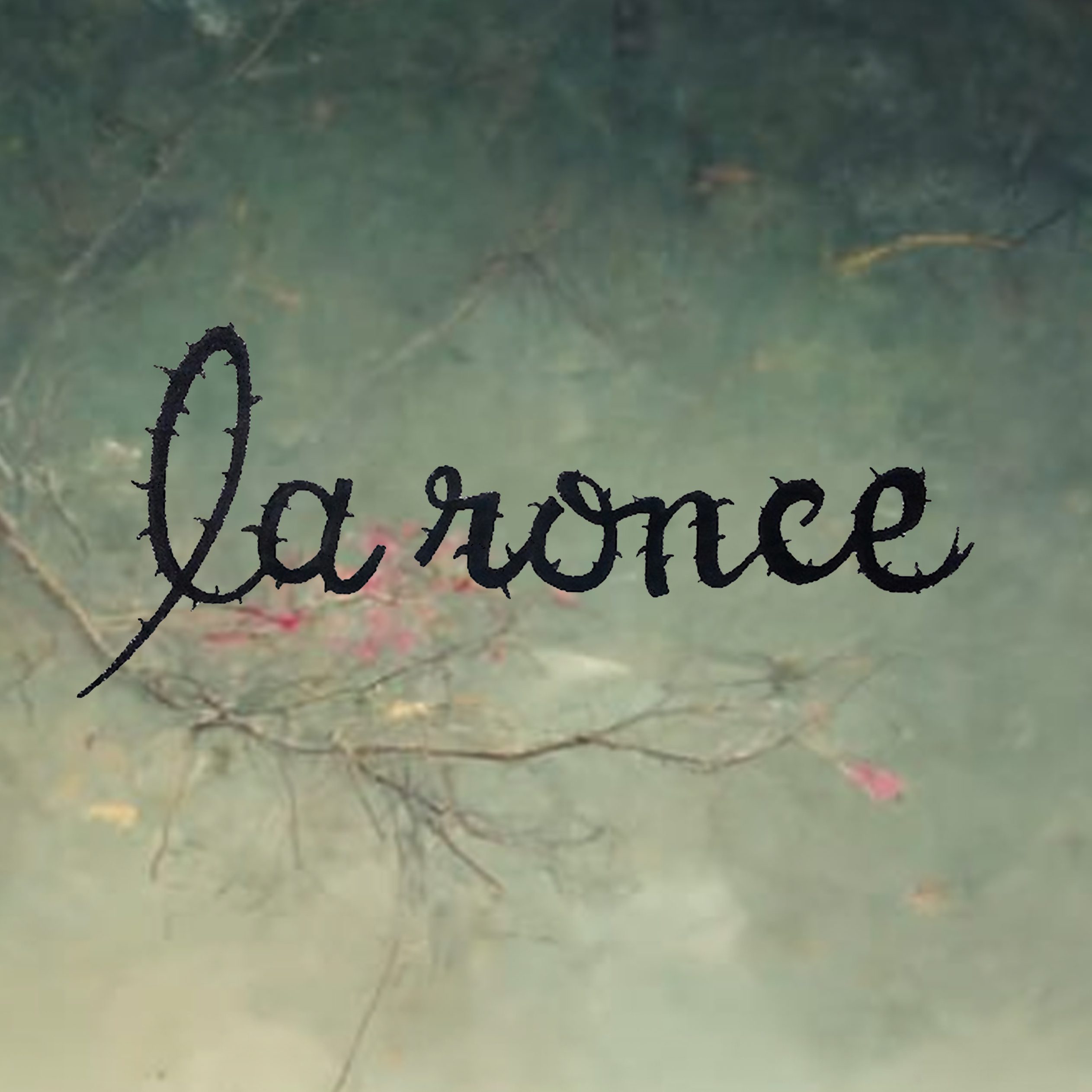 Fond la ronce